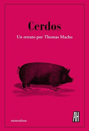 CERDOS | 9788412403398 | MACHO, THOMAS