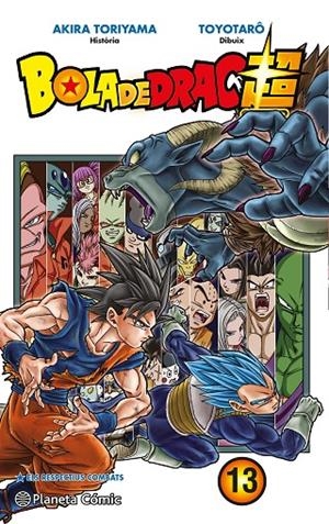 BOLA DE DRAC SUPER 13 | 9788491730323 | TORIYAMA, AKIRA / TOYOTARÔ