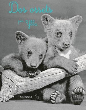 DOS OSSETS | 9788418558283 | YLLA / KOFFLER, CAMILLA