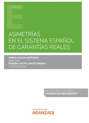 ASIMETRIAS EN EL SISTEMA ESPAÑO DE GARANTIAS REALES | 9788413912844 | GALICIA AIZPURUA, GORKA