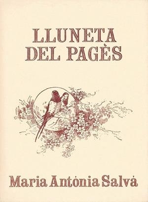 LLUNETA DEL PAGES | 9788427303102 | SALVA, MARIA ANTONIA