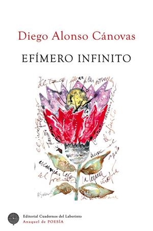 EFÍMERO INFINITO | 9788418997068 | ALONSO CANOVAS, DIEGO