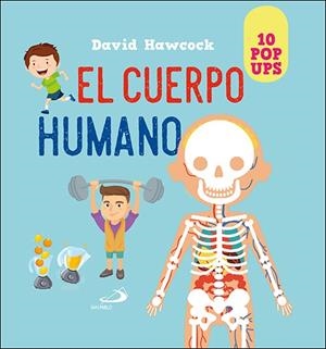 CUERPO HUMANO, EL | 9788428560412 | HAWCOCK, DAVID