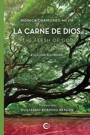 CARNE DE DIOS, LA | 9788419009401 | CHAMORRO MEJÍA, MÓNICA