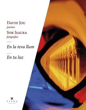 EN LA TEVA LLUM - EN TU LUZ | 9788418908262 | JOU, DAVID