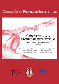 CONSTITUCION Y PROPIEDAD INTELECTUAL | 9788429017687 | SERRANO FERNÁNDEZ, MARÍA