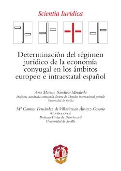 DETERMINACIÓN DEL REGIMEN JURÍDICO DE LA ECONOMÍA CONYUGAL EN LOS AMBITOS EUROPEO E INTRAESTATAL ESPAÑOL | 9788429020892 | MORENO SÁNCHEZ-MORALEDA, ANA