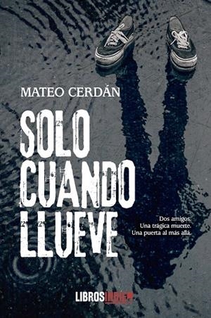 SOLO CUANDO LLUEVE | 9788419022615 | CERDÁN, MATEO