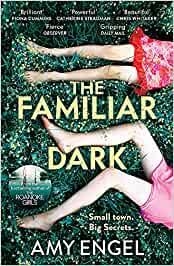 FAMILIAR DARK, THE | 9781529368116 | ENGEL, AMY