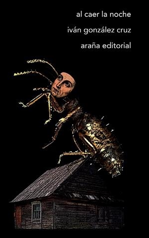 AL CAER LA NOCHE | 9788493558635 | GONZALEZ CRUZ, IVAN