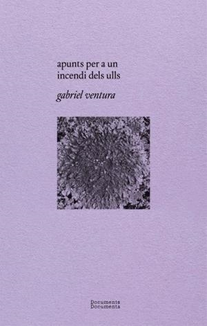 APUNTS PER A UN INCENDI DELS ULLS | 9788412258202 | VENTURA, GABRIEL
