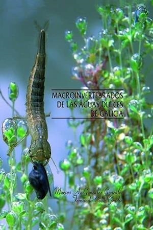 MACROINVERTEBRADOS DE LAS AGUAS DULCES DE GALICIA | 9788496314405 | GONZÁLEZ GONZÁLEZ, MARCOS