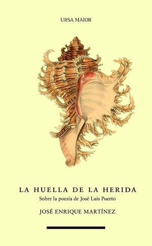 HUELLA DE LA HERIDA, LA | 9788418718618 | MARTÍNEZ, JOSÉ ENRIQUE
