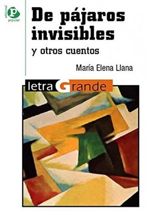 DE PÁJAROS INVISIBLES | 9788478844418 | LLANA, MARÍA ELENA
