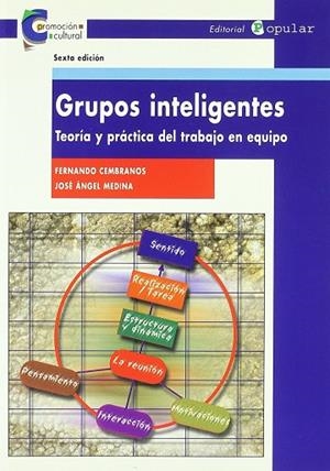 GRUPOS INTELIGENTES | 9788478842612 | CEMBRANOS FERNANDO Y MEDINA, JOSÉ ÁNGEL