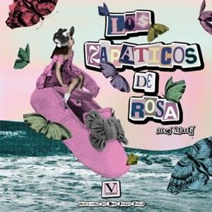 ZAPATICOS DE ROSA, LOS | 9788413378008 | MARTÍ PÉREZ, JOSÉ JULIÁN