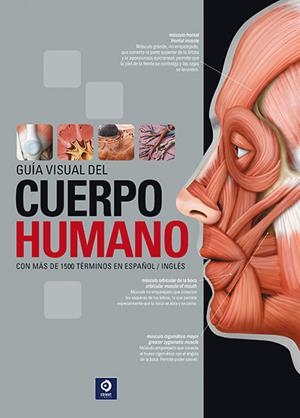 GUÍA VISUAL DEL CUERPO HUMANO | 9788497945233 | BELANGÉR, SYLVAIN