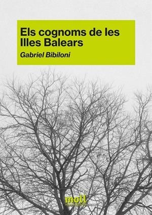 COGNOMS DE LES ILLES BALEARS, ELS | 9788427340589 | BIBILONI CAÑELLAS, GABRIEL