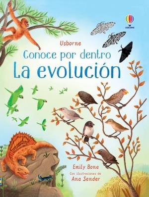 CONOCE POR DENTRO. LA EVOLUCIÓN | 9781801315906 | BONE, EMILY