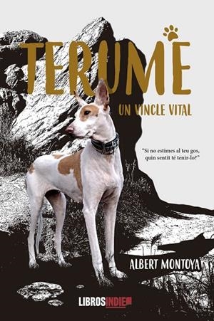 TERUME. UN VINCLE VITAL | 9788419022912 | MONTOYA, ALBERT