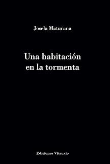HABITACIÓN EN LA TORMENTA, UNA | 9788412496161 | MATURANA MENDOZA, JOSELA