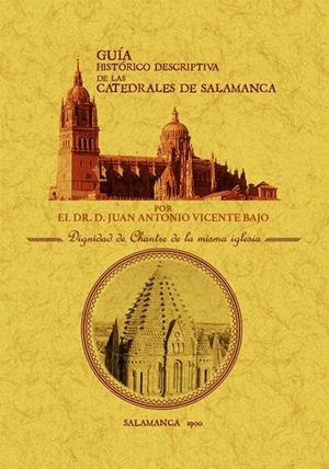 GUÍA HISTÓRICO-DESCRIPTIVA DE LAS CATEDRALES DE SALAMANCA | 9788490017197 | VICENTE BAJO, JUAN ANTONIO