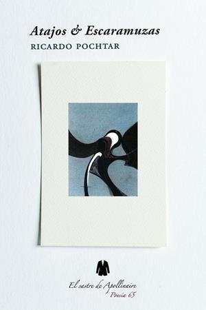ATAJOS Y ESCARAMUZAS | 9788412398953 | POCHTAR, RICARDO