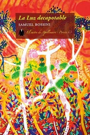 LUZ DECAPOTABLE, LA | 9788412398939 | BOSSINI, SAMUEL