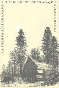 HUELLAS DE ESCARABAJO | 9788498368512 | BENET, SUSANA