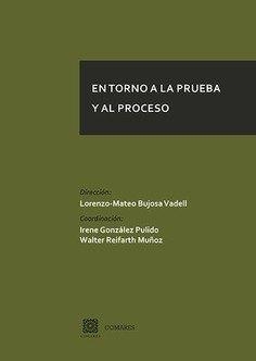 EN TORNO A LA PRUEBA Y AL PROCESO | 9788490458051 | BUJOSA VADELL, LORENZO-MATEO