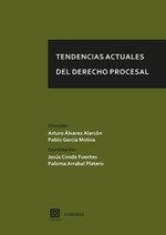 TENDENCIAS ACTUALES DEL DERECHO PROCESAL | 9788490458006 | ÁLVAREZ ALARCÓN, ARTURO / GARCÍA MOLINA, PABLO