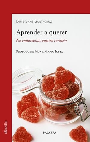 APRENDER A QUERER | 9788413681634 | BLANCO SARTO, PABLO