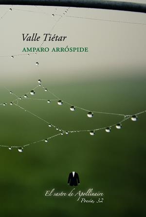VALLE TIETAR | 9788412017410 | ARROSPIDE, AMPARO