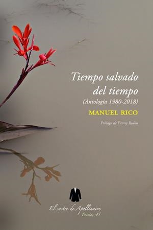 TIEMPO SALVADO DEL TIEMPO | 9788412159059 | RICO, MANUEL