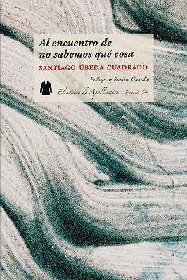 AL ENCUENTRO DE NO SABEMOS QUE COSA | 9788412332544 | ÚBEDA CUADRADO, SANTIAGO