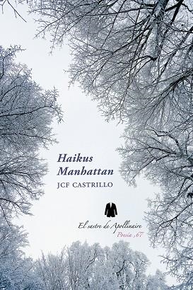 HAIKUS MANHATTAN | 9788412398977 | FERNÁNDEZ CASTRILLO, JUAN CARLOS