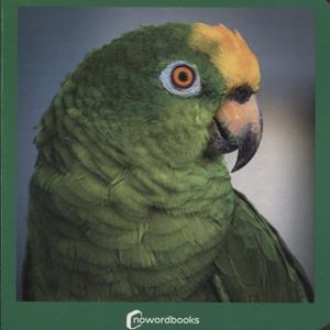 VERDE / VERD | 9788412534405