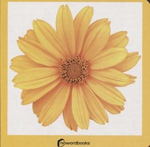 AMARILLO / GROC | 9788412534429 | NOWORDBOOKS