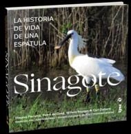 SINAGOTE, LA HISTORIA DE VIDA DE UNA ESPÁTULA | 9788416728572 | PIERSMA, THEUNIS / DE GOEIJ, PETRA / BOUTEN, W.