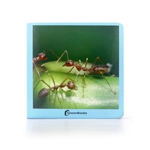 ANIMALITOS | 9788494585432 | MARTÍN MARTÍNEZ, DAVID