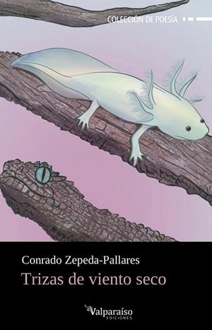 TRIZAS DE VIENTO SECO | 9788418694905 | ZEPEDA-PALLARES, CONRADO
