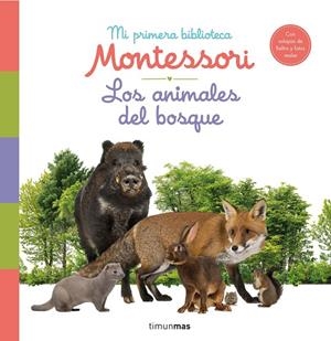 ANIMALES DEL BOSQUE, LOS. MI PRIMERA BIBLIOTECA MONTESSORI | 9788408244608 | AA. VV.