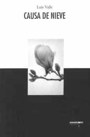 CAUSA DE NIEVE | 9788412433135 | VALLE, LUIS