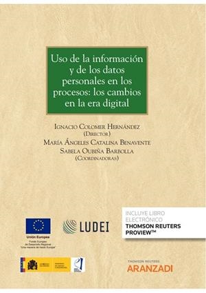 USO DE LA INFORMACIÓN Y DE LOS DATOS PERSONALES EN LOS PROCESOS : LOS CAMBIOS EN LA ERA DIGITAL | 9788413907185 | COLOMER HERNANDEZ, IGNACIO