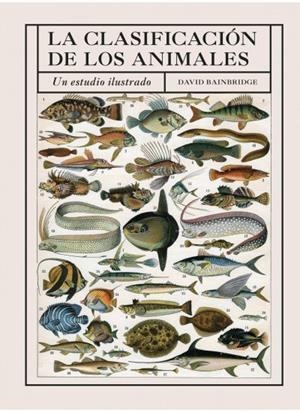 CLASIFICACION DE LOS ANIMALES, LA | 9788428217521 | BAINBRIDGE, DAVID