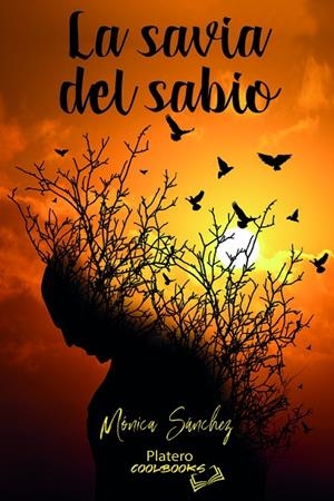 SAVIA DEL SABIO, LA | 9788412484663 | SÁNCHEZ JIMÉNEZ, MÓNICA