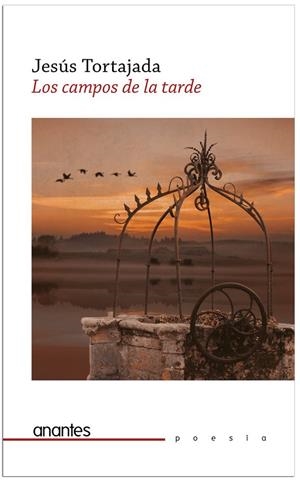 CAMPOS DE LA TARDE, LOS | 9788412366389 | TORTAJADA, JESÚS