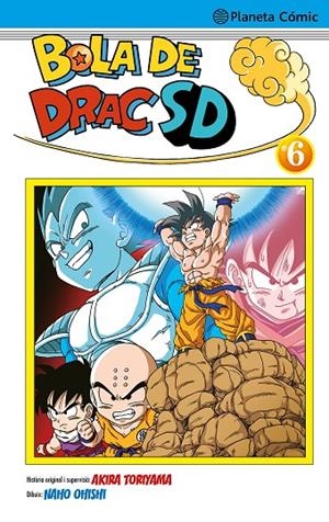 BOLA DE DRAC SD 06 | 9788491746690 | TORIYAMA, AKIRA