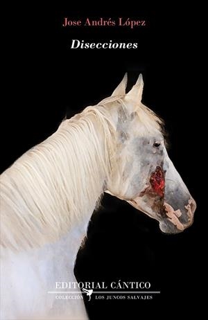 DISECCIONES | 9788418639913 | LÓPEZ, JOSÉ ANDRÉS