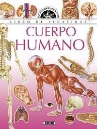 CUERPO HUMANO | 9788490053799